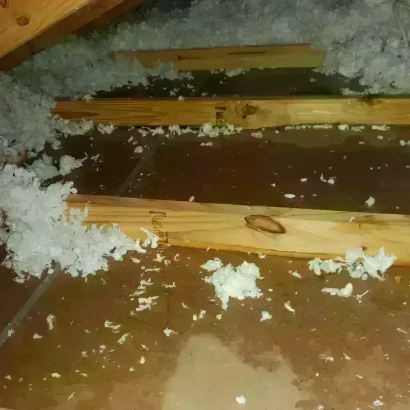 Attic Water Damage in Carrizo Springs, TX